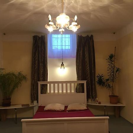 Vintage Studio Apartment, Garden And Free Parking Budapest Ngoại thất bức ảnh