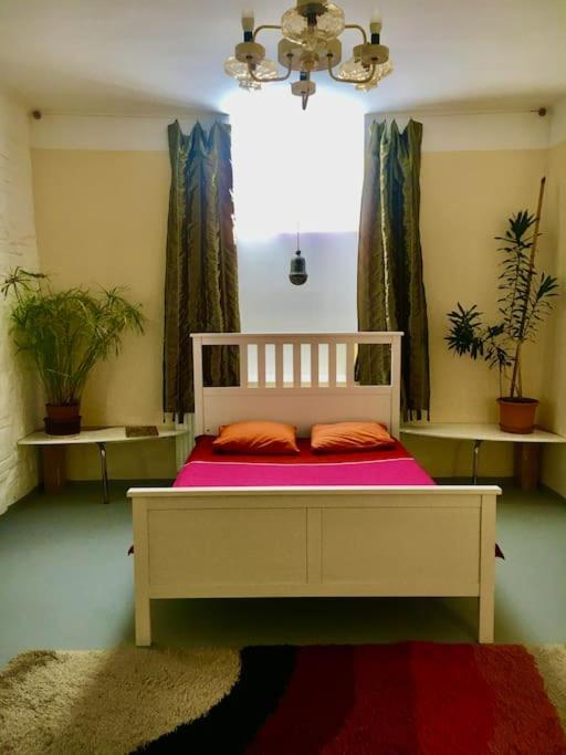 Vintage Studio Apartment, Garden And Free Parking Budapest Ngoại thất bức ảnh