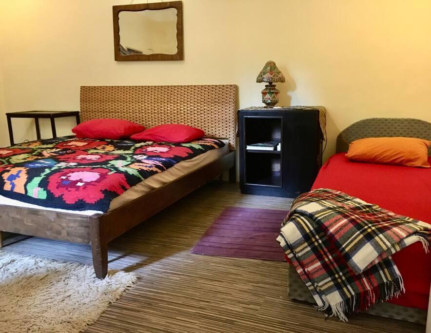 Vintage Studio Apartment, Garden And Free Parking Budapest Ngoại thất bức ảnh