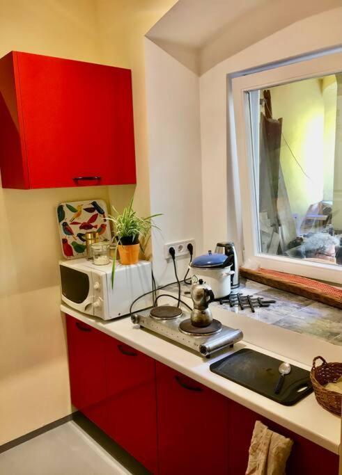 Vintage Studio Apartment, Garden And Free Parking Budapest Ngoại thất bức ảnh