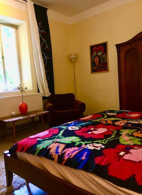 Vintage Studio Apartment, Garden And Free Parking Budapest Ngoại thất bức ảnh