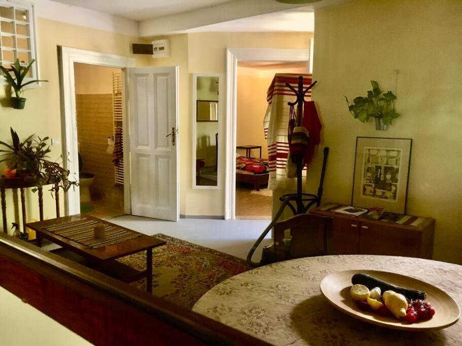 Vintage Studio Apartment, Garden And Free Parking Budapest Ngoại thất bức ảnh