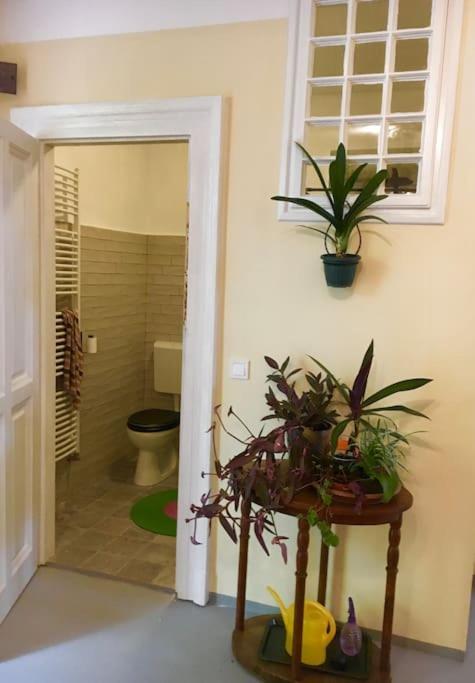 Vintage Studio Apartment, Garden And Free Parking Budapest Ngoại thất bức ảnh